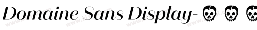 Domaine Sans Display字体转换